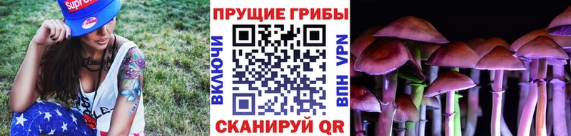 купить наркотики сайты  omg зеркало  Галлюциногенные грибы MAGIC MUSHROOMS  Белый 